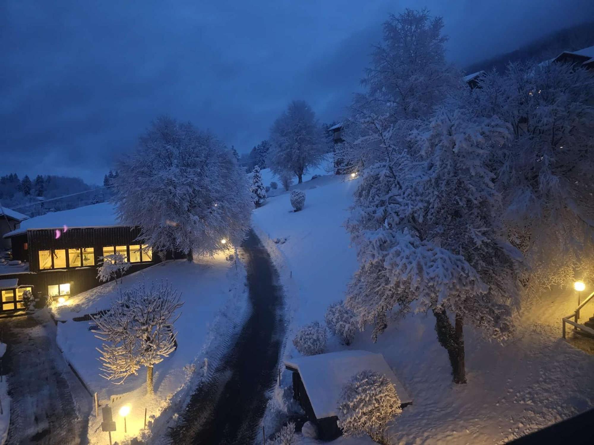 Sonnen-Juwel - Hallenbad-Sauna-2 Getrennte Schlafbereiche-Direkt An Der Skipiste Missen-Wilhams Ngoại thất bức ảnh